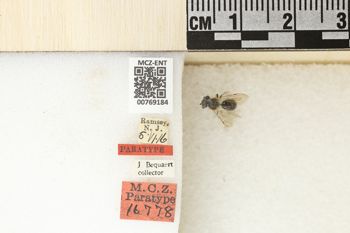 Media type: image;   Entomology 769184 Aspect: Labels